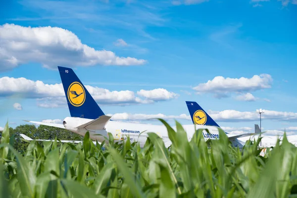 Enschede Países Baixos Julho 2020 Boeing 747 400 Aviões Paralisados — Fotografia de Stock