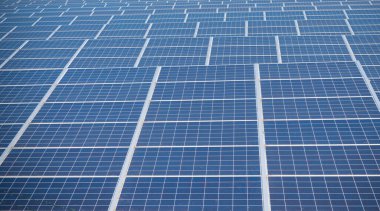 Hollanda 'daki güneş parkında arka planda elektrik direkleri var.