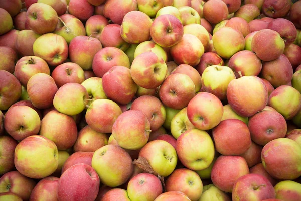 Fondo Manzanas Elstar Maduras — Foto de Stock