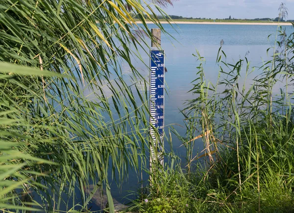 Water Level Meter Reed Netherlands — Stock Photo, Image