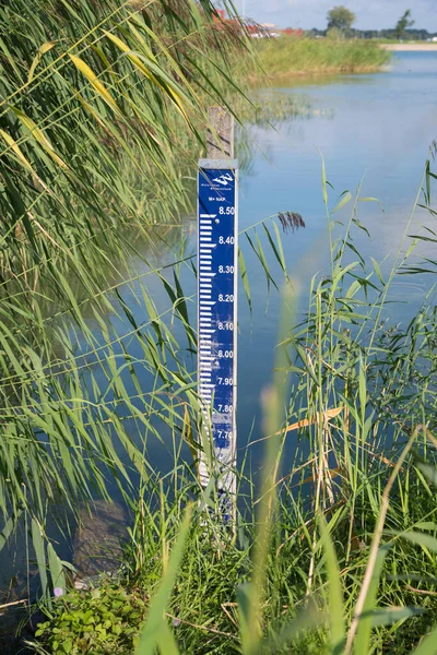 Waterniveaumeter Tussen Het Riet Het Binnenland — Stockfoto