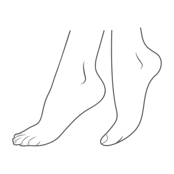 Nohy Boční Pohled Zvenčí Izolované Bílém Pozadí Vektorové Ilustrace Ortopedie — Stockový vektor