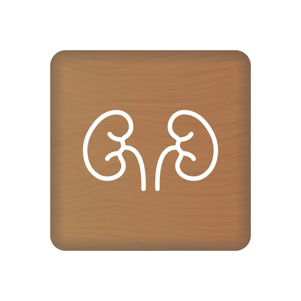 Het pictogram van de menselijke nieren. Een Vector van de inwendige organen. Illustratie van de menselijke anatomie. Teken symbool voor medische presentatie op houtblokken geïsoleerd op een witte achtergrond. Vectorillustratie. — Stockvector