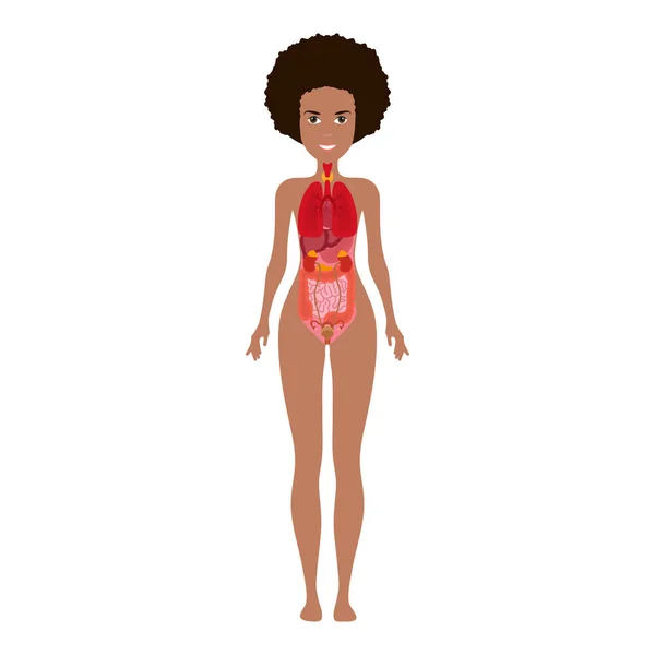 Lidské tělo s vnitřními orgány schéma s plochou infografickou plakátem. Silueta ženy s plícemi, srdcem, štítkou, žaludkem, játry, ledvinami, střeva, slinivkami, sleziny — Stockový vektor
