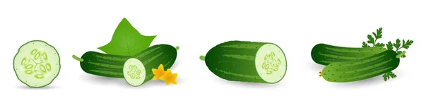 Komkommers in cartoon stijl set. Hele komkommer, half, plakjes en komkommers groep. Verse boerderij groenten collectie. Vector illustraties geïsoleerd op witte achtergrond. — Stockvector