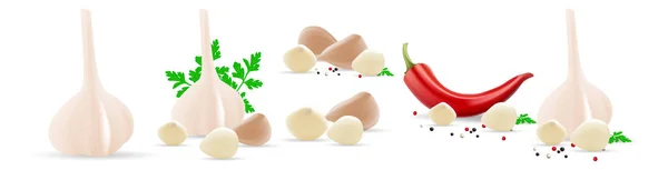 Conjunto de especiarias e legumes picantes. Alho, pimenta, pimenta seca, pimenta da Jamaica, pimento, grãos de mostarda isolados sobre fundo branco. Ilustração vetorial . —  Vetores de Stock