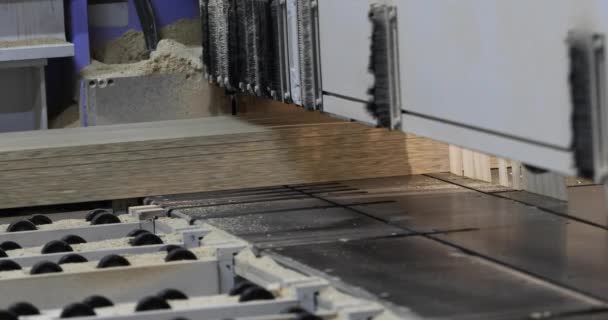 Interni industriali, fabbrica di mobili, produzione di mobili, Formato macchina per il taglio truciolare, MDF, processo di taglio truciolare, linea automatizzata, Macchina per la lavorazione del legno — Video Stock