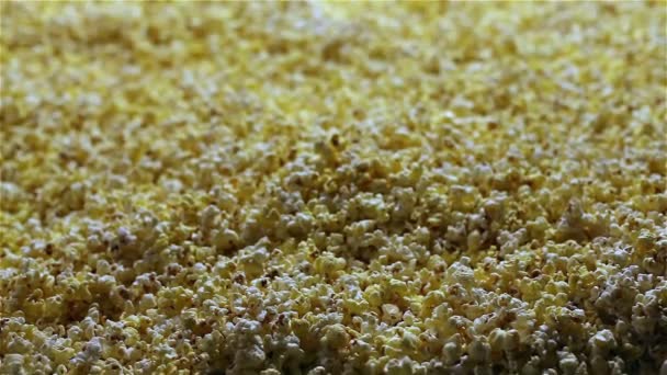 Läckra popcorn bakgrund. Makro skott av en popcorn konsistens av saltat och osaltat majs — Stockvideo