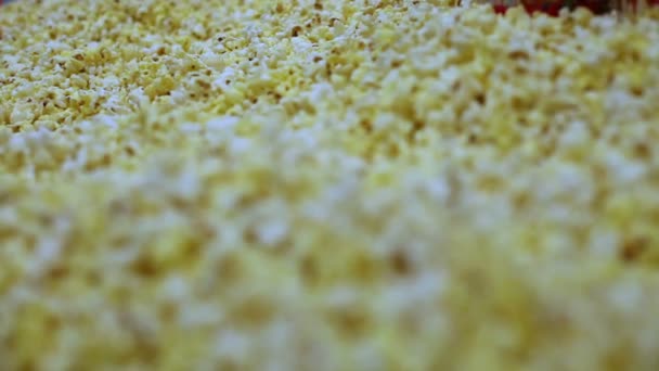 Makro skott av en popcorn konsistens av saltat och osaltat majs — Stockvideo