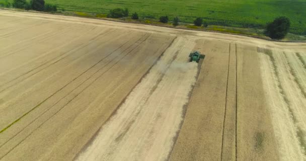 Mähdrescher und Traktoren auf dem großen Weizenfeld, Mähdrescher auf dem Weizenfeld, grüne Mähdrescher auf dem Feld — Stockvideo