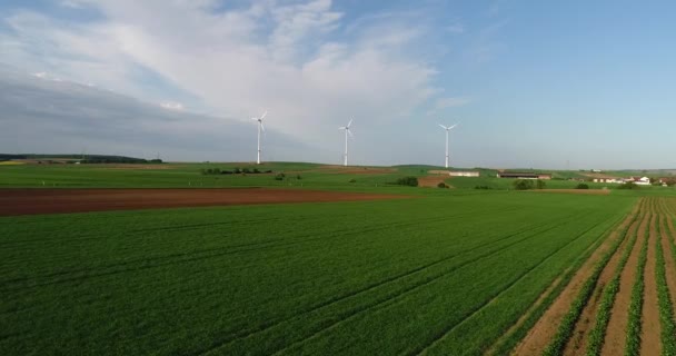 Panoramy powietrzne pól uprawnych i generatorów wiatrowych produkujących energię elektryczną. Nowoczesne technologie pozyskiwania alternatywnej energii wiatrowej. Widok z lotu ptaka — Wideo stockowe