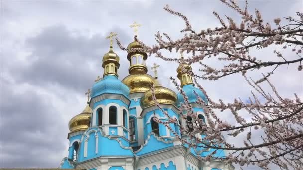 Orthodoxe tempel, wolken boven de tempel, gouden koepels, Timelapse, buitenkant, een weergave uit de onderstaande, door de takken van een boom van de bloei, lente landschap, Blooming tree — Stockvideo