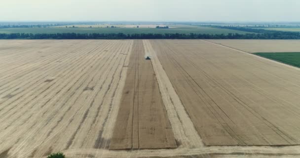 Letecký pohled na kombajny a traktory pracující na poli velkých pšenice Kombajn na poli pšenice, zelená kombajn pracuje na poli, pohled shora, pole sklizně pšenice, anténa, 4k