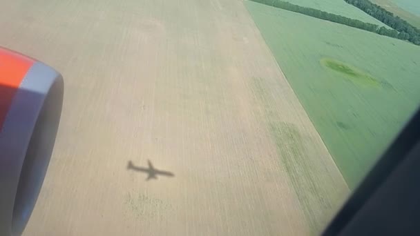 The shadow of a flying plane on the ground on a sunny day. View from airplane window. Shadow of the plane. Flying over the field and forest while landing at the airport — Stock Video
