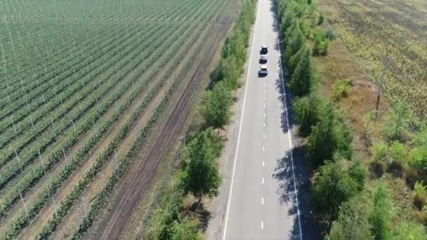 Motorvägen utanför staden panoramautsikten ovanifrån, motorväg längs det gröna fältet, tre bilar kommer — Stockvideo