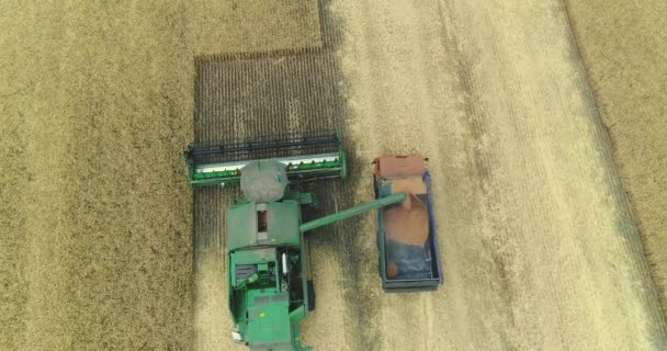 Kombajny a traktory pracující na poli velké pšenice Kombajn na poli pšenice, zelená kombajn pracuje na poli — Stock video