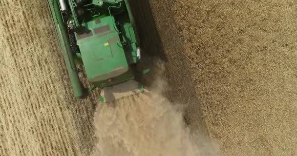 Vue aérienne sur les moissonneuses-batteuses et les tracteurs travaillant sur le grand champ de blé, Récolteuse sur le champ de blé, Récolteuse verte travaillant sur le champ — Video