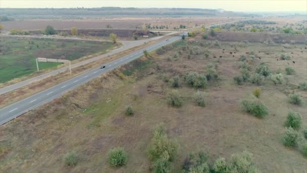 Silnice mimo město panoramatický pohled shora, highway podél pole, auta jedou, motocykl se pohybuje po silnici, dopravní — Stock video