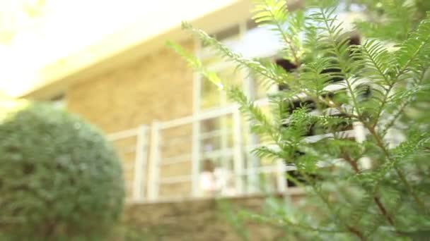Módní budova stojí na místě s zelenými rostlinami — Stock video