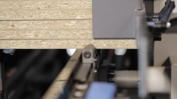Сучасний деревообробний верстат з ЧПУ. Робочі механізми промислових деревообробних верстатів — стокове відео