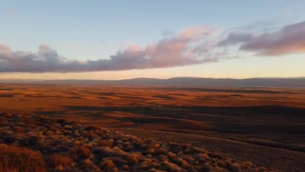 Színes naplemente az argentina mezőn. Gyönyörű naplemente a patagónia sztyeppén — Stock videók