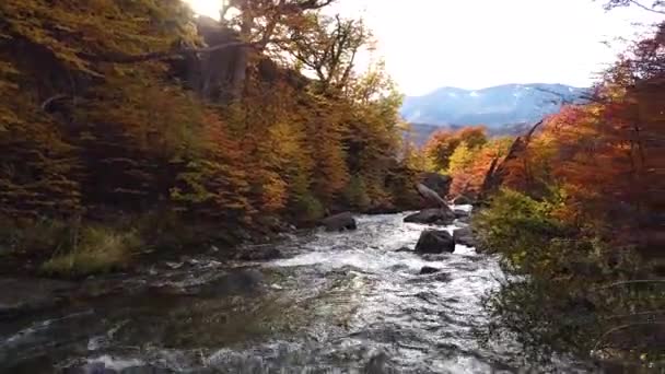 Waterfall Chorrillo del Salto, Argentina. Fossefallet Chorrillo del Salto til høsten – stockvideo