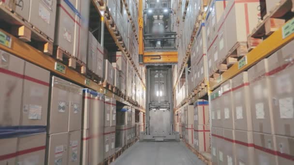 Современный вилочный погрузчик на фабричном складе, работа на складе — стоковое видео