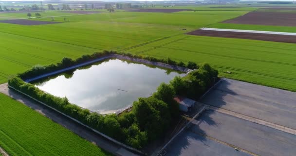 Technical reservoir next to large greenhouses, green fields around a large greenhouse, Technical reservoir around a large greenhouse — Stock Video