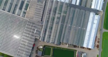 Çiçeklerle dolu büyük bir seranın üzerinde uçmak, geri çekilebilir çatılı bir sera, yukarıdan bir sera manzarası, büyüyen çiçekler. Büyük sanayi seraları