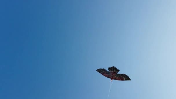 Cometa contra el cielo, cometa en forma de águila contra el cielo azul — Vídeos de Stock