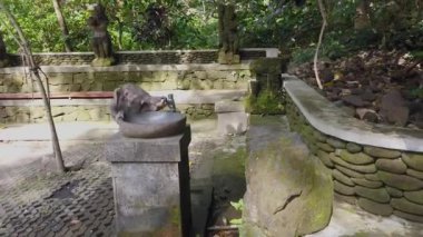 Makak insanlar için musluktan su içer, Makak çeşmeden su içer.