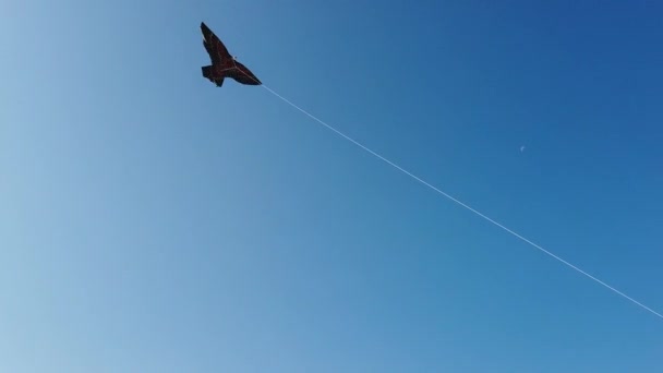 Cerf-volant contre le ciel, cerf-volant en forme d'aigle contre le ciel bleu — Video