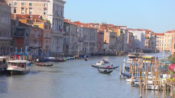 베네치아, 곤돌라 가대 운하에 떠다닌다. 베네치아의 주요 운하, 베네치아 운하에 있는 곤돌라 — 비디오