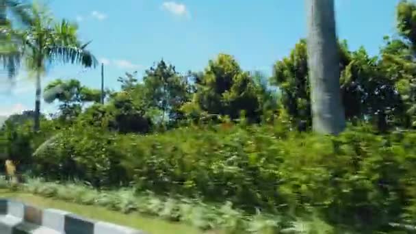 Κυκλοφορία στο οδικό μπαλί. Ένα ταξίδι στο Μπαλί, η θέα από το παράθυρο του αυτοκινήτου — Αρχείο Βίντεο