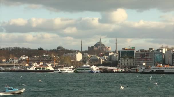 Turistbåtar i Bosporen. Turistfartyg, måsar som flyger nära skeppet. Många turistbåtar — Stockvideo