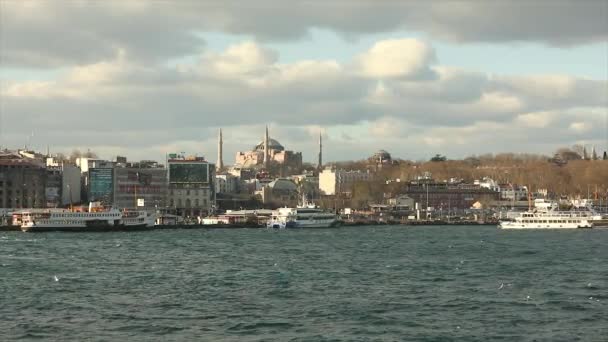 Boğazdaki turist tekneleri. Turist gemisi, martılar geminin yakınında uçuyor. Birçok turist teknesi — Stok video