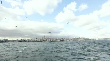Galata Kulesi, ön planda turistler ve martılarla dolu eğlence tekneleri. Galata Kulesi 'nin arka planında tekneler, rüzgarlı hava