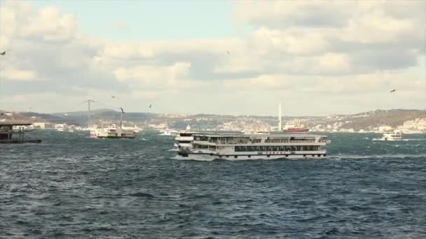 Élményhajók a Bosphorus híd hátterében, szeles időjárás. Bosphorus-híd, előtérben sétahajókkal turistákkal és sirályokkal. — Stock videók