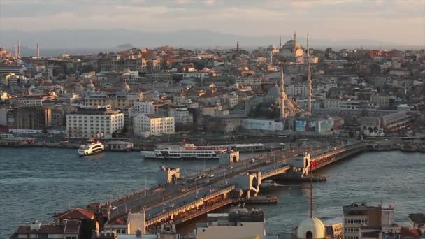 View of the Galata bridge and mosques at sunset. A lot of seagulls are flying, tourist boats are floating — Stock Video