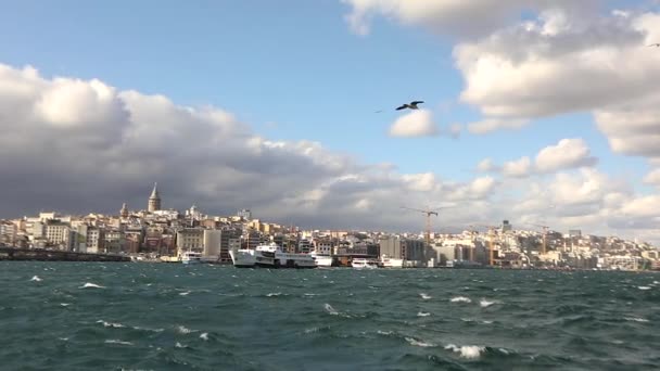 Gaivotas voam sobre o estreito do Bósforo no tempo ventoso no verão de câmera lenta — Vídeo de Stock