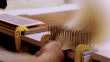Peruk yaparken saç tarama. Fabrika peruk üretim süreci