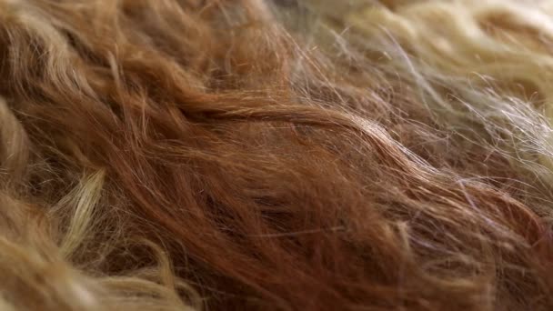 Primer plano del cabello femenino. Peluca femenina de cerca. Hermoso cabello rubio femenino — Vídeo de stock