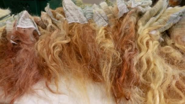 Στάδιο παραγωγής περούκα, περούκα, ξανθά τεχνητά μαλλιά — Αρχείο Βίντεο