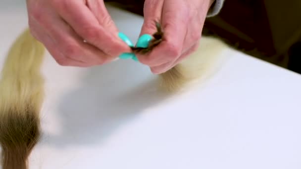 Стадия производства париков, парик для волос человека, искусственные волосы блондинки — стоковое видео