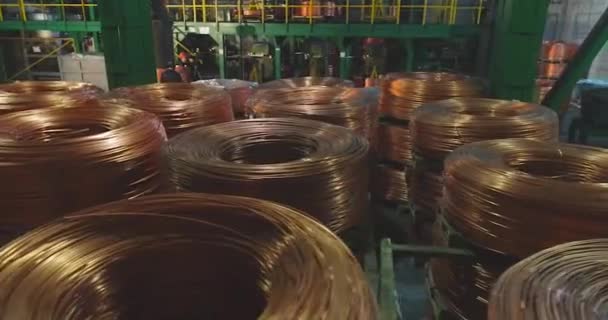 Flux de travail dans une usine de câbles. Hommes déplaçant un babouin avec un câble de cuivre — Video