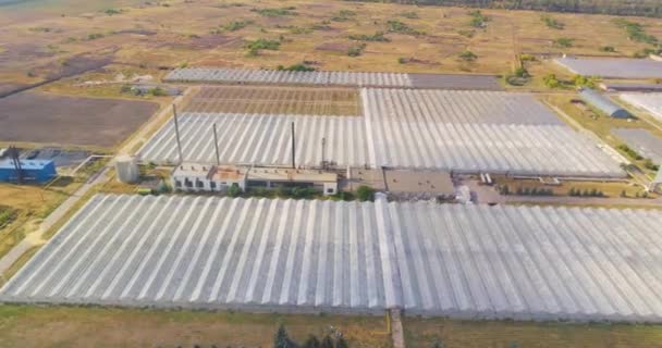 Grande serra dall'aria, un grande complesso agricolo vista dall'alto. Volare su una grande serra con fiori. — Video Stock