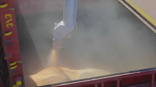 Loading wheat into a tanker, a ship with wheat. Loading grain into a cargo ship — Stock Video