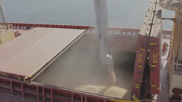 Nakládka pšenice do tankeru, lodi s pšenicí. Nakládka obilí na nákladní loď — Stock video