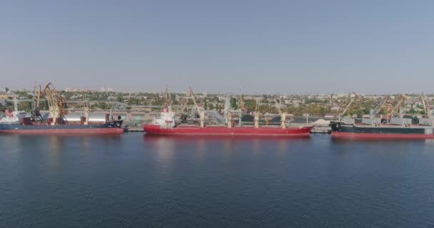 La grúa portuaria carga la carga en un buque de carga seca. Buque de carga seca en el puerto. — Vídeos de Stock