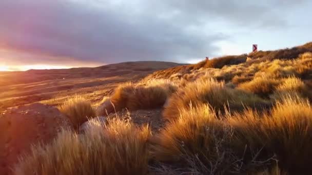 Coucher de soleil coloré dans le champ d'argentine. Beau coucher de soleil dans les steppes de la patagonie — Video
